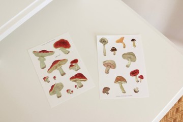 貼紙 A6 蘑菇 PVC 啞光
