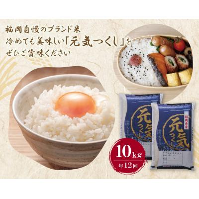 ふるさと納税 福智町 研ぐお米 福岡県産・元気つくし10kg定期便(毎月・年12回)