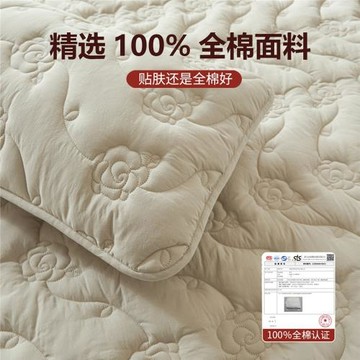 全棉床裙加厚夾棉床墊帶裙邊床邊防臟布床罩四季通用床罩2026新款