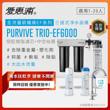 EVERPURE愛惠浦 櫥下型 PURVIVE Trio-EF6000大流量不鏽鋼龍頭三道式生飲淨水器(前置樹脂+中空絲膜)