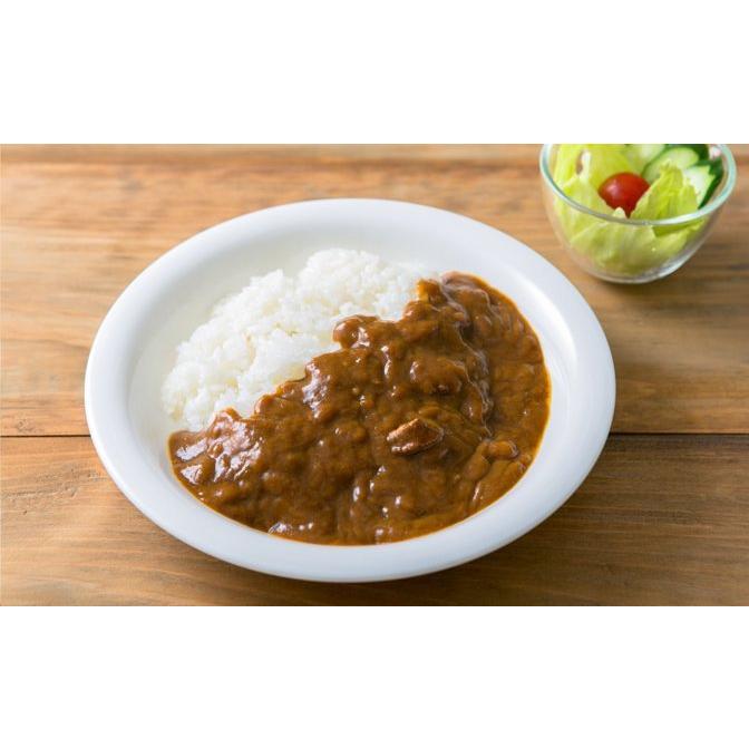 金沢カレー チャンピオンカレー 中辛 180g x 2個 レトルトカレー (食品camcax2)