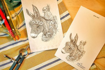 溫暖 驢子與鸚鵡