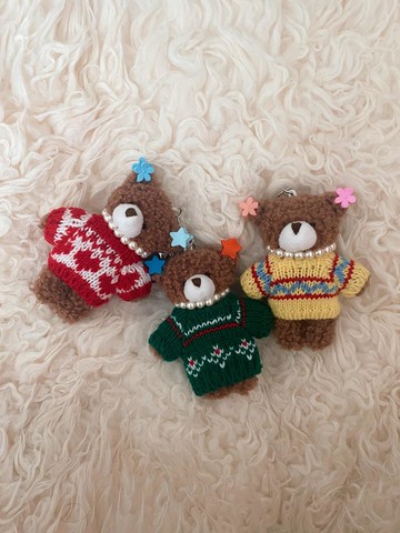 Moon Walsuk Keyring_Winter Preparatory Research Ce