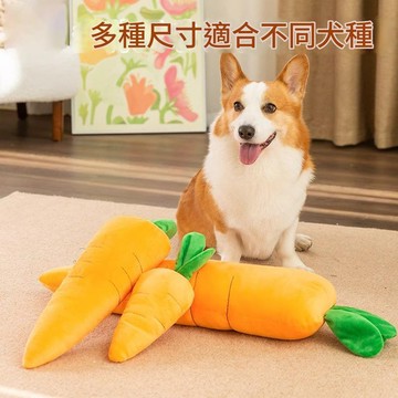 胡蘿蔔狗狗玩具 寵物玩具