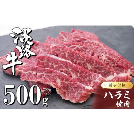 ふるさと納税 兵庫県 淡路市 淡路牛ハラミ焼肉 500g（250ｇ×2ＰＣ）