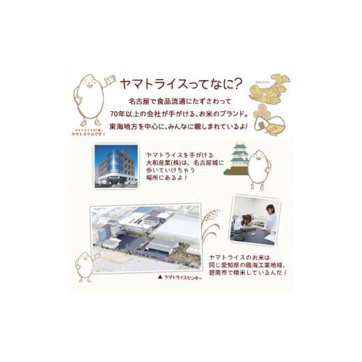 ふるさと納税 愛知県 碧南市 愛知県産コシヒカリ 5kg　※定期便6回　安心安全なヤマトライス　H074-552