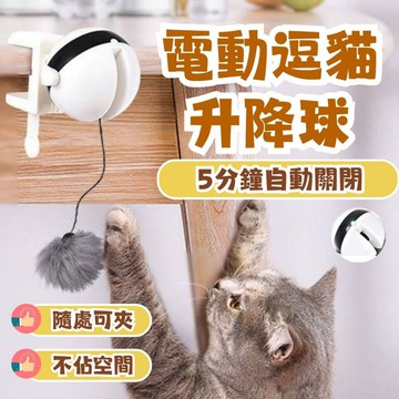 自動逗貓球 貓咪玩具 逗貓球 智能逗貓球 貓玩具 逗貓 遙控球 智能球