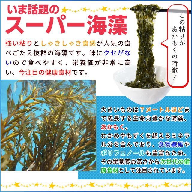 離島 あかもく ９０ｇ×３０パック 伊勢志摩産 送料無料 アカモク ギバサ 海藻 冷凍　チューブ タイプ