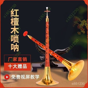 紅檀D調嗩吶樂器全套初學者演奏專業喇叭紅檀木嗩吶樂器