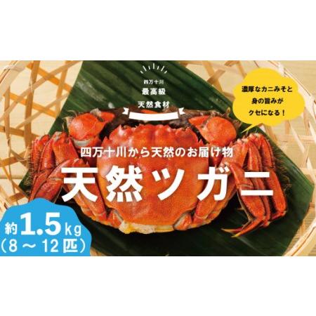 ふるさと納税 R5-984．最高級天然食材！四万十川の天然ツガニ 約1.5kg（8〜12匹） 高知県四万十市