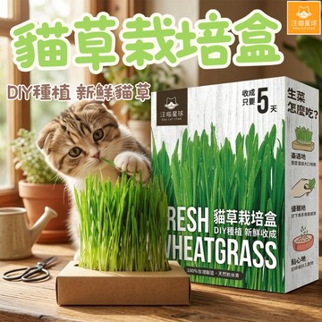 汪喵星球 貓草新鮮栽培盒 貓草 貓草盒子 簡易種植 貓零食 DIY種植 貓草栽培 貓草盆栽