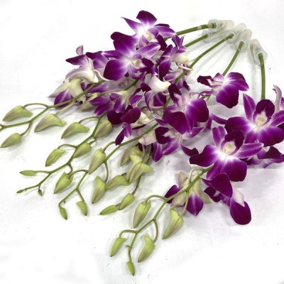 【年中無休】 スプレーカーネーション Sカーネ 5本 切花 生花 切り花 造花ではありません お色おまかせ