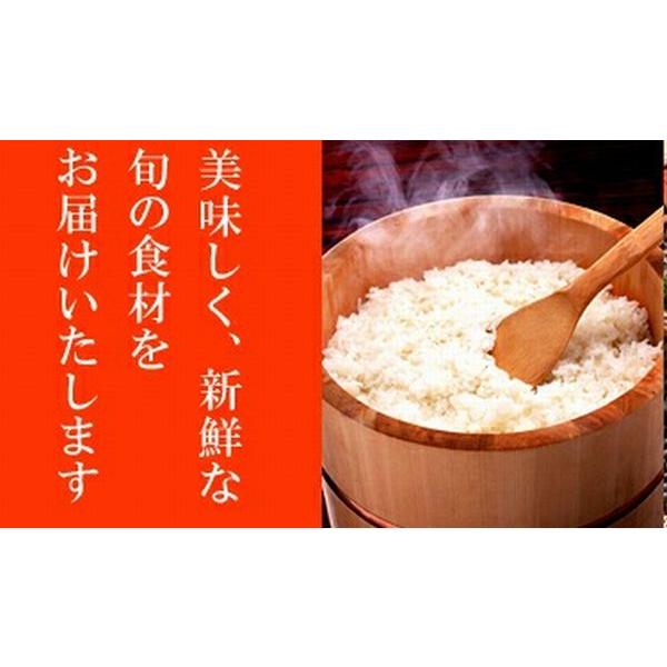 新米　令和5年度産！ 高知県産コシヒカリ白米5キロ　1980円　美味しい！