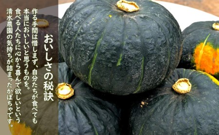 ＜2024年9月初旬よりお届け＞清水農園のかぼちゃ(甘旨）約10kg (4～6玉) 野菜 かぼちゃ 先行予約 秋野菜