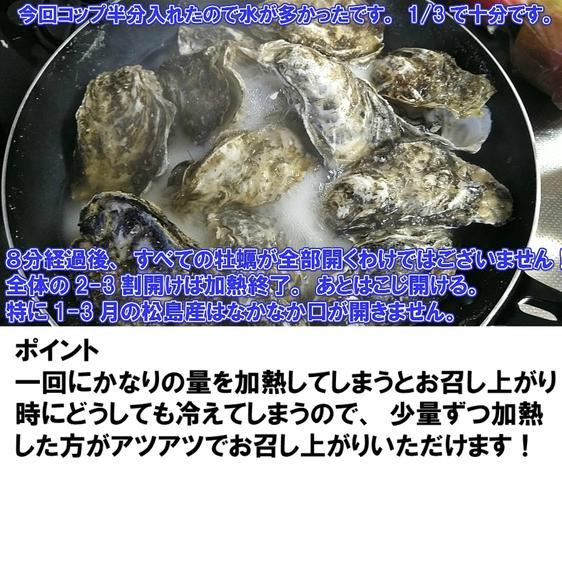 魚介類 牡蠣 牡蠣１０ｋｇ 松島牡蠣屋 殻付き 牡蠣 殻付き宮城県産牡蛎 産地直送