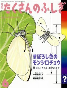  月刊たくさんのふしぎ(６　２０２０年６月号) 月刊誌／福音館書店