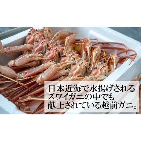 ふるさと納税 茹で越前ガニ食通もうなる本場の味をぜひ、ご堪能ください。約1.2kg 2尾セット 越前がに 越前かに 越前カニ カニ ボイ.. 福井県若狭町