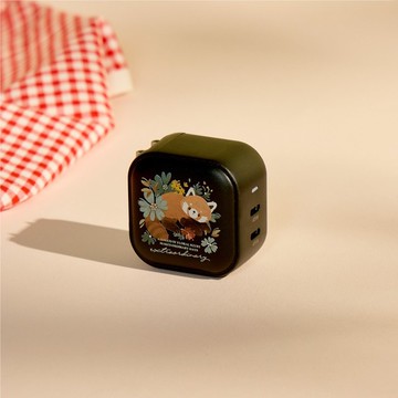 wwiinngg霧綠小熊貓GaN 45W Type-C雙孔充電頭