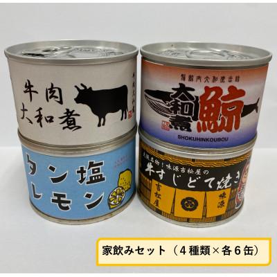 ふるさと納税 富田林市 家飲みセット(4種×各6缶)