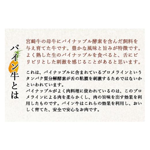 ふるさと納税 宮崎県 高鍋町 ＜パイン牛メンチカツ　80ｇ×10個＞翌月末迄に順次出荷