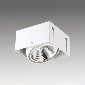 AR111 LED9W12W15W18W22W32W無邊框崁燈 B12-817-11COB