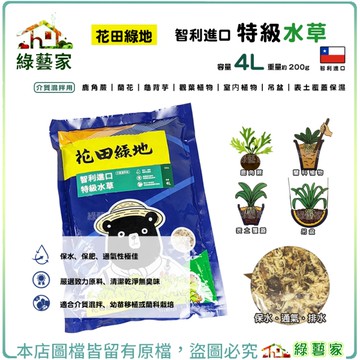 【綠藝家】花田綠地智利進口特級水草4L