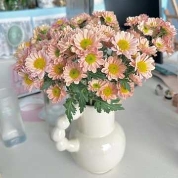 新品【10款切花菊種子】大菊花種子 四季可種 新手易種高發芽率 專為切花愛好者定制