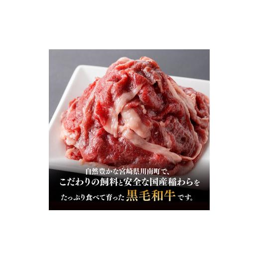 ふるさと納税 宮崎県 川南町 宮崎県産黒毛和牛 切り落とし 600g 肉 牛 牛肉