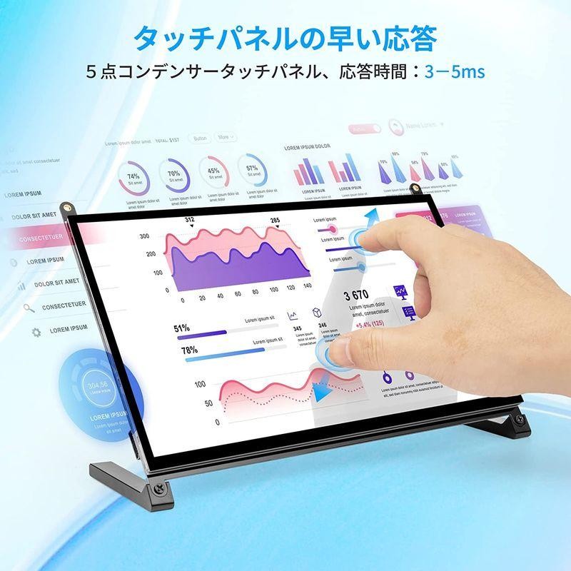 モニター ROADOM 10インチ Raspberry Pi用タッチモニター IPS 1024X600