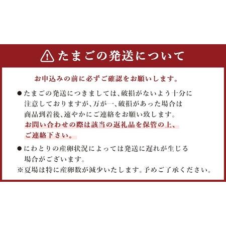 ふるさと納税 鶏卵 30ヶ入×6回 合計180個 たまご 福岡県産 福岡県嘉麻市