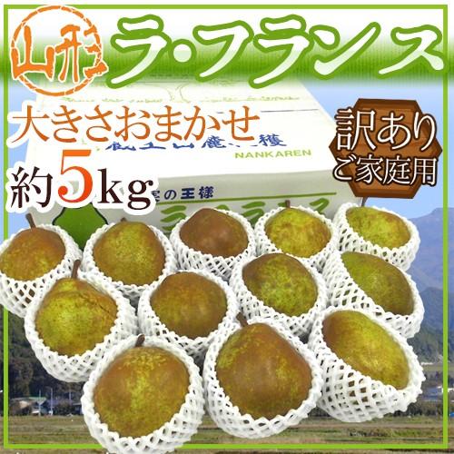 山形産 ”ラフランス” 訳あり 約5kg 大きさおまかせ 産地箱 洋梨 ラ・フランス 送料無料