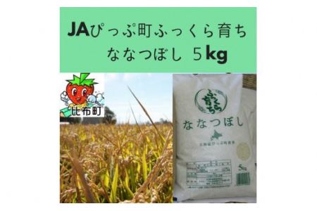 2023年産新米　JAぴっぷ町　ななつぼし精米　5㎏