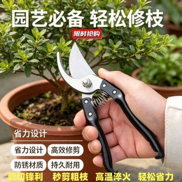 🧲隔日達🧲樹枝剪刀SK5強力園藝不鏽鋼省力修枝剪果樹粗枝專用園藝剪子