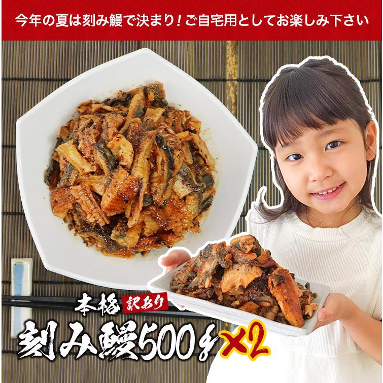 うなぎ 蒲焼き 鰻 訳あり きざみ鰻 1kg (500gx2パック)  10〜12人前 ウナギ かば焼き 刻みうなぎ 端材 タレ 冷凍便 ギフト お取り寄せ