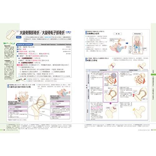 病気がみえるvol.11 運動器・整形外科