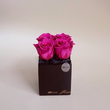 快速出貨🚀【CNFlower】星夜 恆星花禮-桃紅  永生花 居家擺飾 裝飾 怎麼放都美