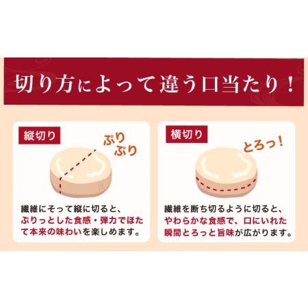 ふるさと納税 北海道産 冷凍 帆立貝柱 500g (18玉前後) ホタテ 北海道厚岸町