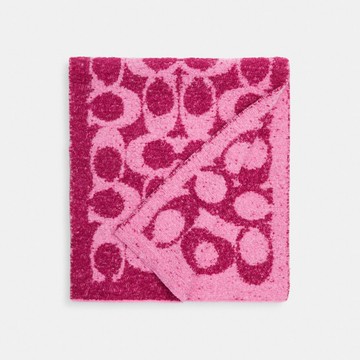 經典 SIGNATURE 圍巾