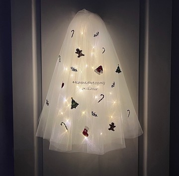 Sparkles Christmas (full) : Wedding bridal veil