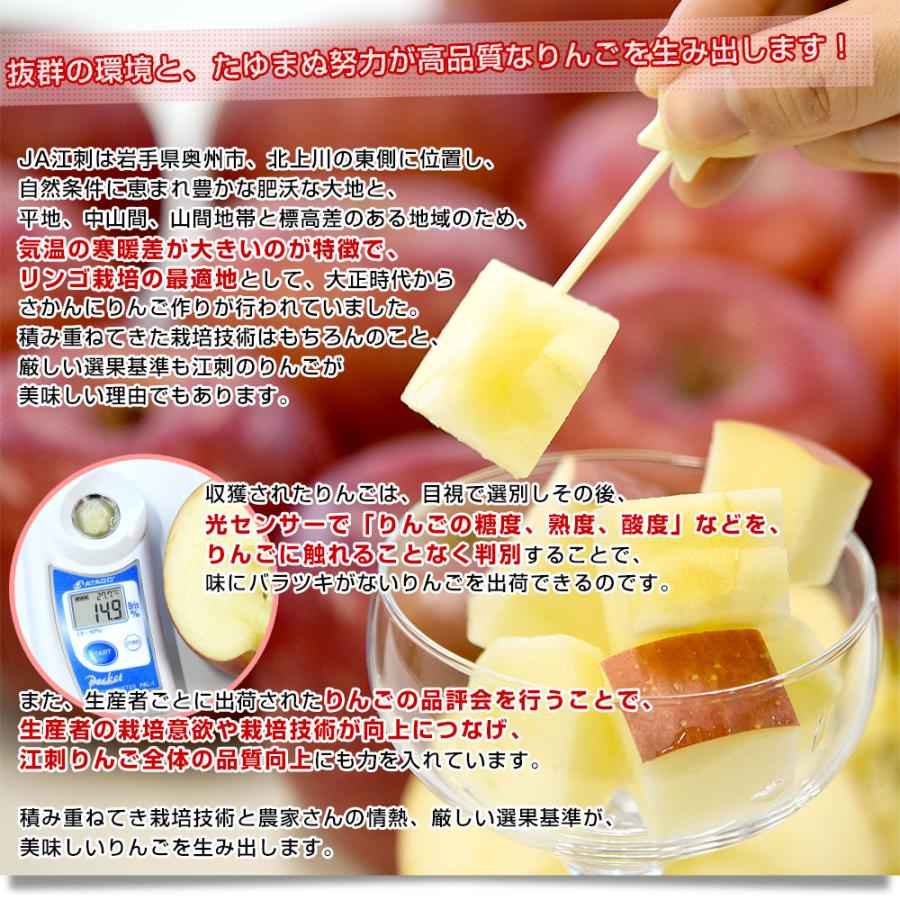 岩手県産 JA江刺 江刺のサンふじ 糖度14度以上 ご家庭向け 約3キロ (8玉から12玉) 送料無料 りんご リンゴ 林檎