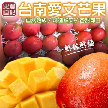 【天天果園】台南愛文芒果10斤ｘ2箱(每箱18-24入)