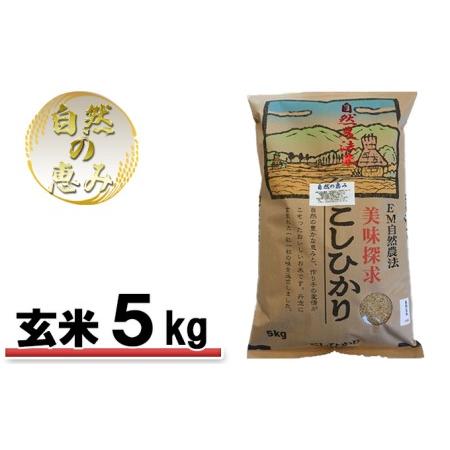 ふるさと納税 自然農法米こしひかり「自然の恵み」玄米5kg《特別栽培米》 石川県能美市