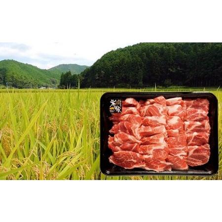 ふるさと納税 仁井田米で育ったブランド豚「しまんと米豚焼き肉セット」／Qjs-02 高知県四万十町