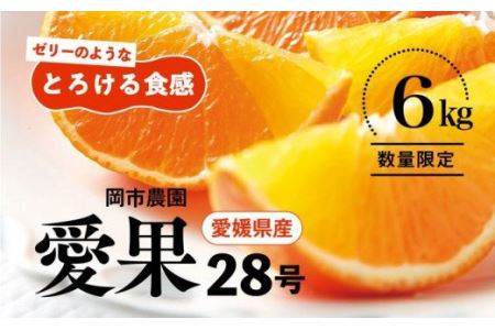 ＼農園直送／愛媛県産 愛果28号 3kg×2箱 限定50箱◆ ※2023年12月中旬頃～2024年1月中旬頃に順次発送予定