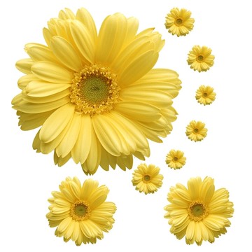 仿真向日葵溫馨臥室創意立體貼紙3d黃色花朵客廳可移除自粘墻貼畫