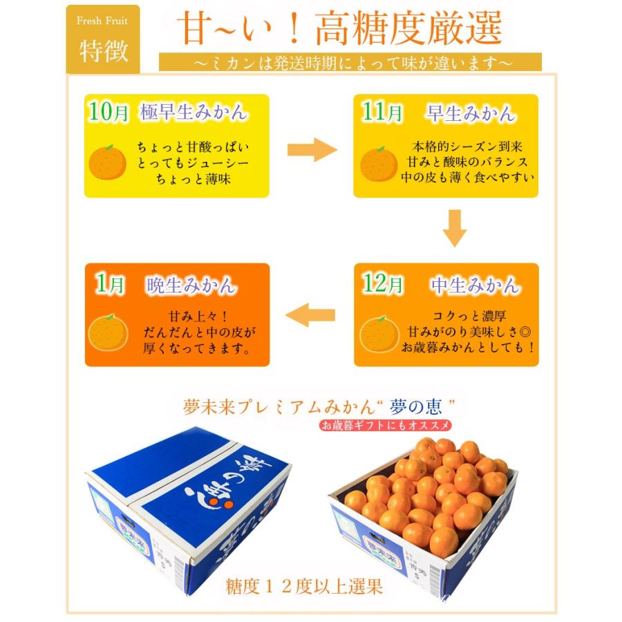 2023 御歳暮 ギフト みかん 熊本 夢の恵 青秀 S-L約 4kg 贈答用 お歳暮 光センサー ギフト ミカン 蜜柑 フルーツ （35玉前後から55玉前後）11月中旬頃より発送