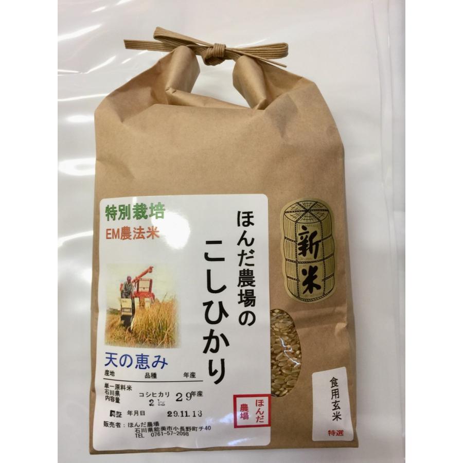 お米 令和4年産 新米 自然農法米こしひかり「天の恵み」食用玄米 2kg（送料無料）