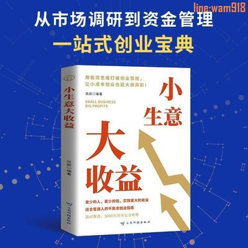 【店長推薦】官方正版】小生意大收益 用錢賺錢 適合普通人的不焦慮創業指南