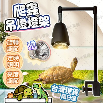 🔥免運+台灣現貨🐢爬蟲吊燈燈架 送燈泡 定時照明 亮度可調節 多角度旋轉 陸龜燈架 直角吊燈架 爬蟲燈夾 爬蟲燈架