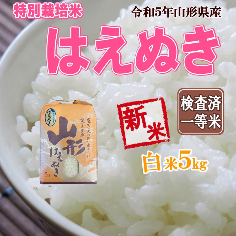 令和5年産 新米 送料無料 山形県産 特別栽培米 はえぬき 白米 5kg 五キロ お米 おこめ 白米 はくまい